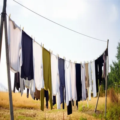 Illustration sagged - Image 1