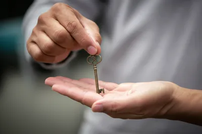 Illustration appoints - Image 1