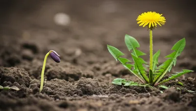 Illustration snip - Image 1