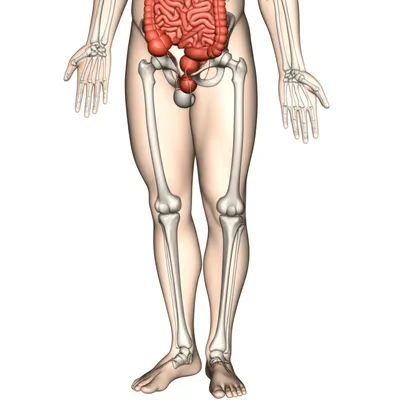 Illustration dropped - Image 1