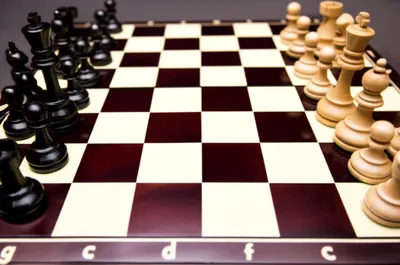 Illustration draw - Image 1