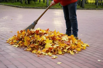 Illustration sweeps - Image 1