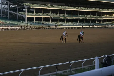 Illustration scratches - Image 1