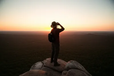 Illustration scout - Image 1