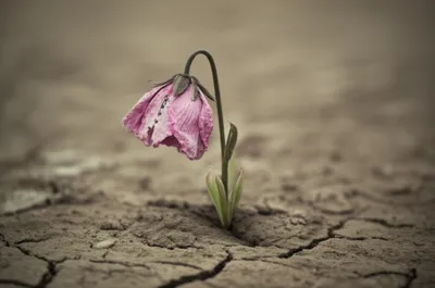 Illustration hurting - Image 1