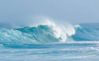 Illustration set - Image 2