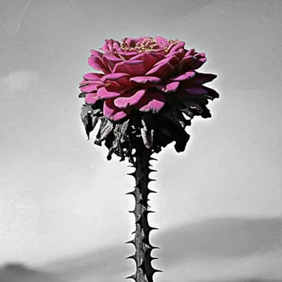 Illustration unbecoming - Image 1