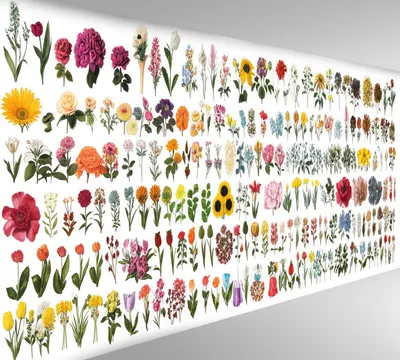 Illustration flowered - Image 1