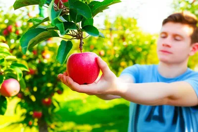 Illustration convenient - Image 1