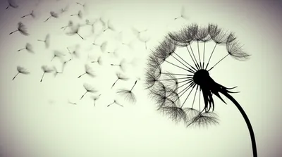 Illustration gone - Image 1