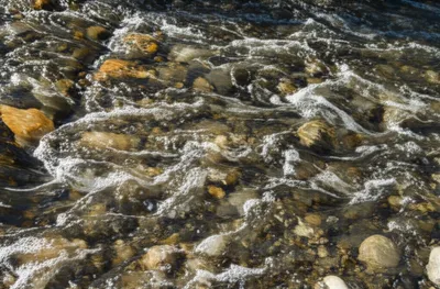 Illustration gurgles - Image 1