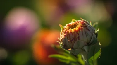 Illustration interesting - Image 1