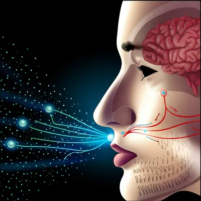 Illustration smell - Image 1