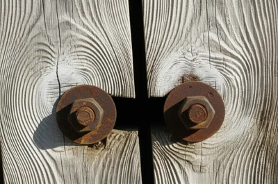 Illustration setting - Image 1