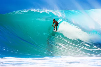 Illustration surfed - Image 1