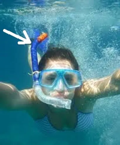 Illustration snorkel - Image 2