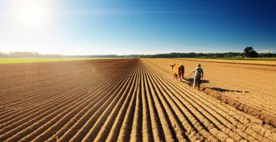 Illustration plough - Image 1