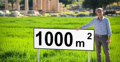 Illustration str - Image 1