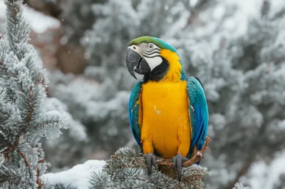 Illustration residents - Image 1