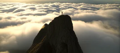 Illustration tops - Image 1