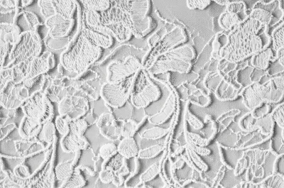 Illustration duchesse - Image 1