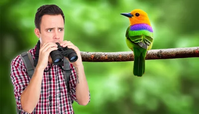 Illustration dip - Image 1