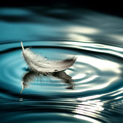 Illustration floated - Image 1