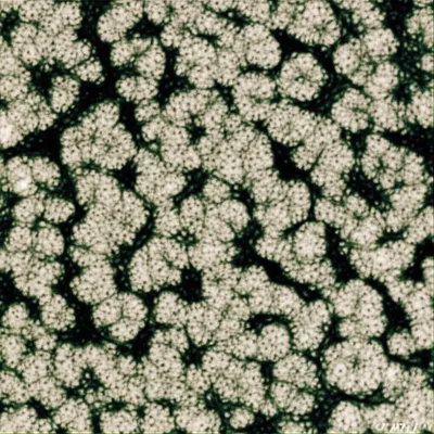 Illustration granules - Image 1