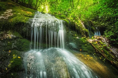 Illustration flowy - Image 1