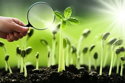 Illustration favoring - Image 1