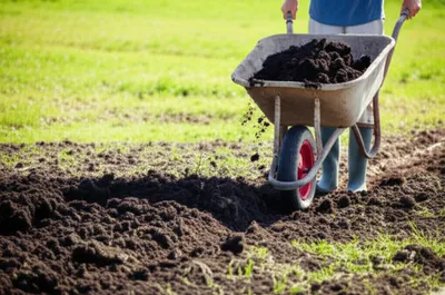 Illustration till - Image 1