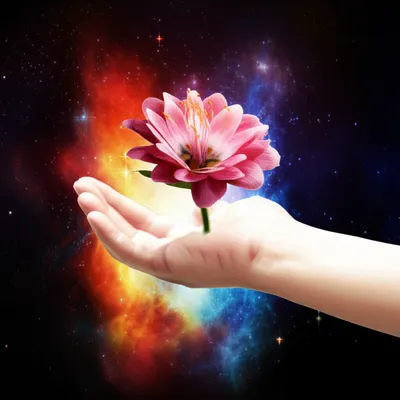 Illustration creations - Image 1