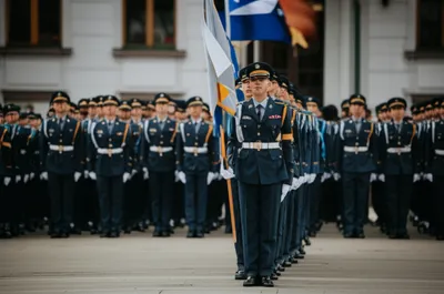 Illustration marshaling - Image 1