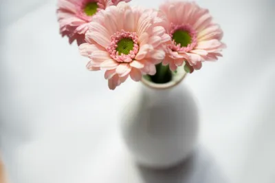 Illustration pretty - Image 1