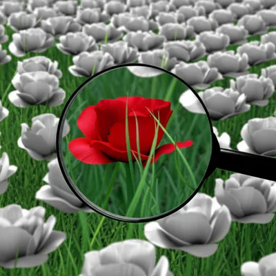 Illustration overlooked - Image 1