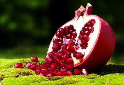 Illustration dropped - Image 1