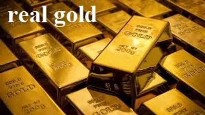 Illustration real - Image 5