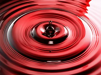 Illustration christened - Image 1