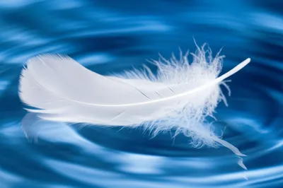 Illustration safe - Image 1