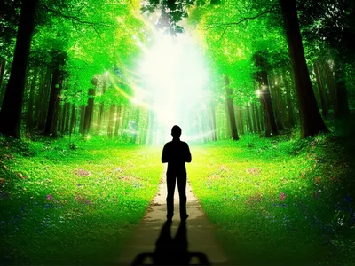 Illustration choices - Image 1