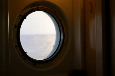 Illustration bull - Image 1