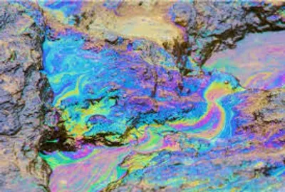 Illustration slick - Image 3