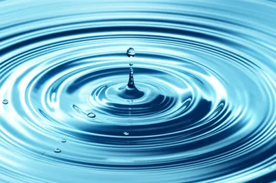 Hình ảnh minh họa watery - Ảnh 1