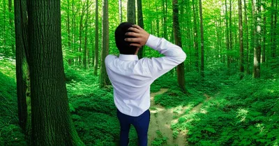 Illustration stumped - Image 1