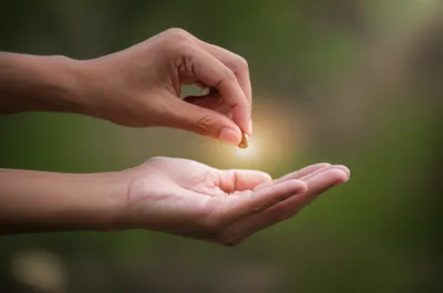 Illustration communicated