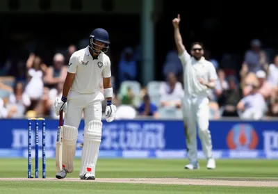 Illustration rabbits - Image 1