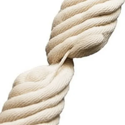 Illustration roping - Image 1