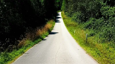 Illustration reversals - Image 1