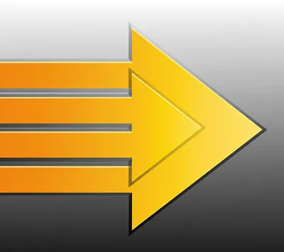 Hình ảnh minh họa quicken - Ảnh 1