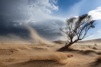 Illustration windstorm